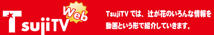 tsujiTV
